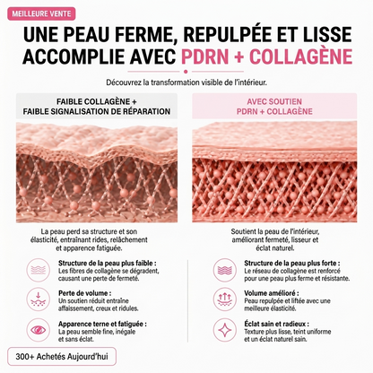 Stick Repulpant PDRN — Volufiline & Bio-Collagène